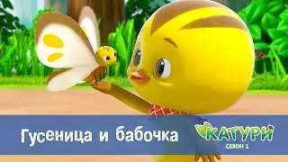Катури. Сезон 1 - Серия 11.Гусеница и бабочка - Мультфильм для малышей