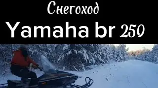 СНЕГОХОД Yamaha BR 250