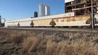 American Car & Foundry built Center Flow covered hoppers on industrial spur track near Vicksburg, MI