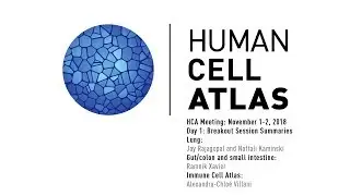 HCA Meeting: Day 1 Breakout Summary