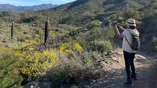 Hiked Go John trail in Cave Creek Regional Park today 