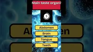 Body Quiz 1 - How Well Do You Know Yourself?  #popquiz #BodyQuiz