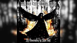 Mist Call - Hex of the Woods Mage [Dungeon Synth / Fantasy Ambient / Short Story]