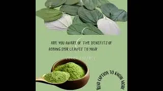 Sidr leaves a holistic secret to enhance the beauty of your Hair and Skin