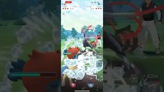 Keldeo sweeps master League