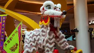 AMAZING LION & DRAGON DANCE PERFORMANCE IN SINGAPORE🇸🇬|LION DANCE |DRAGON DANCE|SINGAPORE LION DANCE