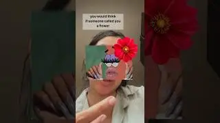 Thai insults be like 🌸