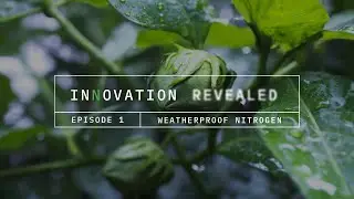 Innovation Revealed, Episode 1: Weatherproof Nitrogen - Cotton
