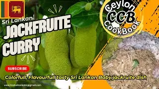 Smashed Jackfruit Curry Recipe | Authentic Sri Lankan Kudu Polos Malluma - 2025 #recipeblog