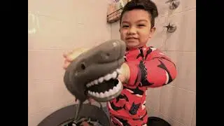 OCEAN ANIMALS + CROCODILE & ALLIGATOR