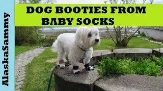 Make Dog Booties From Baby Socks- DIY Dog Clothes