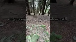 Another one for the list #history #ireland #megalithic