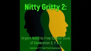 Nitty Gritty 2:  Urgent Need to Free the Sacred Souls of generation X, Y & Z