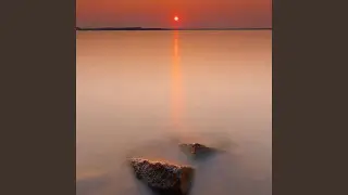 Focus Challenge