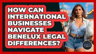 How Can International Businesses Navigate Benelux Legal Differences? - Exploring The Benelux