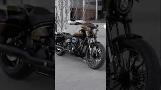 THUNDERBIKE &ldquo;GOLDEN STRIKE&rdquo; customized Harley-Davidson #sportglide