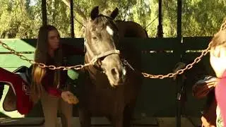 Horse Rentals in Moorpark CA, details at YellowPages.com