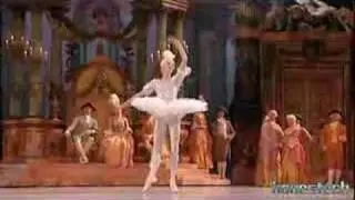 Sleeping Beauty - Diamond