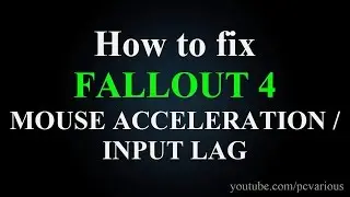 How to fix FALLOUT 4 Mouse Acceleration / Input lag