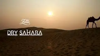 Zomo USA - Dry Sahara Tobacco Teaser