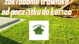 Zakładanie trawnika od początku do końca 