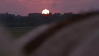 Iowa Hawkeyes Football - &ldquo;War Path&rdquo; (2020 Remake)