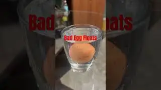 Bag Egg Floats #eggs