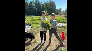2022 Kimjang kimchi reveal and feast