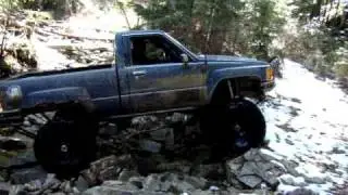 Creek Crawling
