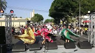 The little Roots of the Lord💯🎇🎊🎆🎉🎶🛐                  Las pequenas raices del Se&ntilde;or💯🛐🎆🎊🎇🎉🤙🎶
