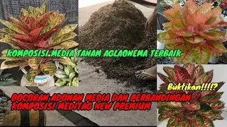 Komposisi media tanam aglaonema MEDITAG NEW PREMIUM.Komplit dan multi fungsi untuk semua aglaonema.