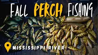 UNREAL Fall Perch, Crappie, and Bluegill river fishing action!