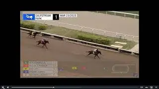 Horse Racing He's a Daredevil Wins Race 1 At Gulfstream Park Sunday March 23 2025