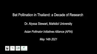 APIA Webinar #4 - Bat Pollination in Thailand: a Decade of Research