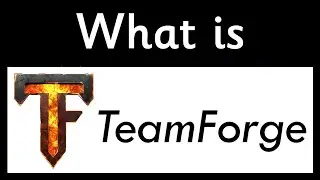 What is TeamForge?