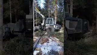 Malwa 560 Combi - Harvester mode going through the wood