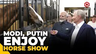 PM Modi, Russian President Putin watch a show with performing horses in Moscow