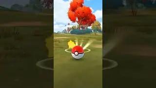 when i catch pikipek shiny pokemon..... 😳 pokemon go