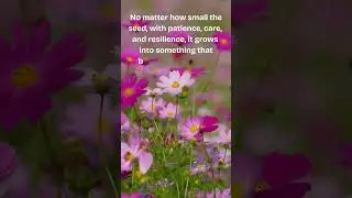 BLOOM IN YOUR OWN TIME🌺 #shortsviral #lifelessons #bloom