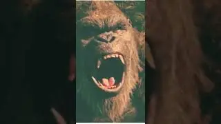 Godzilla e Kong 3 novo vazamento do filme❗❗❗🤩🤩🤩🤩😍😍😁😁