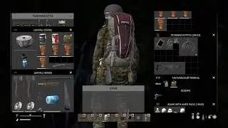 DayZ OBS2