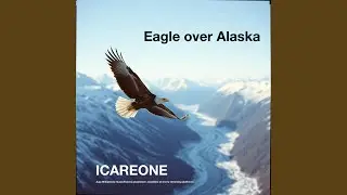 eagle over Alaska