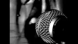 White Squirrel White Fox Rukut Music Video