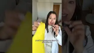 Que hacer cuando hace calor con los perros y gatos