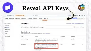 Как получить ключ API Stripe (панель управления аккаунтом)
