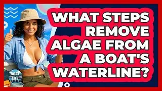 What Steps Remove Algae From A Boat's Waterline?