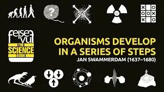ORGANISMS DEVELOP IN A SERIES OF STEPS