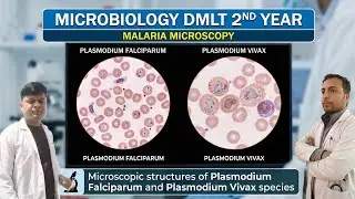 Microbiology DMLT 2nd Year: Microscopic Structures of Plasmodium falciparum and Plasmodium vivax