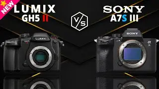 Panasonic LUMIX GH5 II vs SONY A7S III