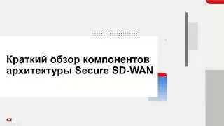 Expert's View: SD WAN (частина I)